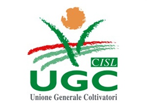 UGC